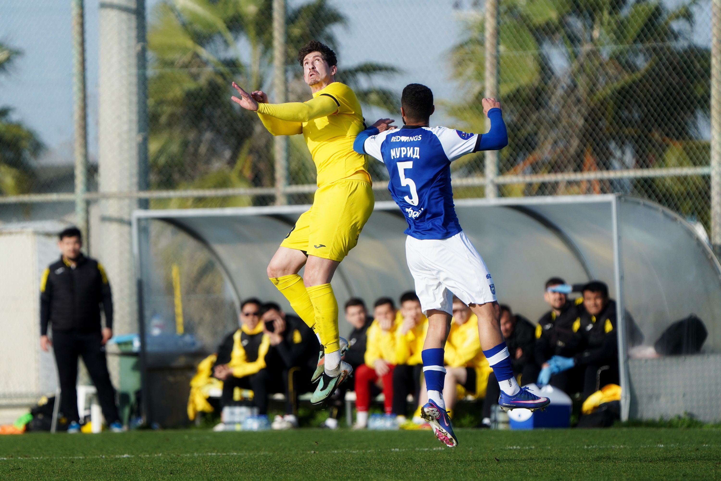 Жеңіс – Балтика